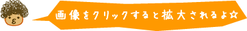 画像をクリックすると拡大されるよ☆