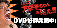 私はアダモちゃんを見た！！