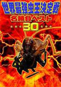 Ƕ̾٥30