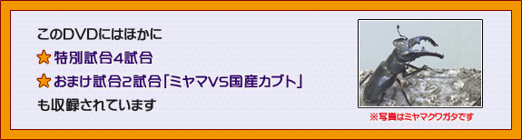 DVDŵ