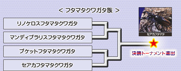 եޥ塞²
