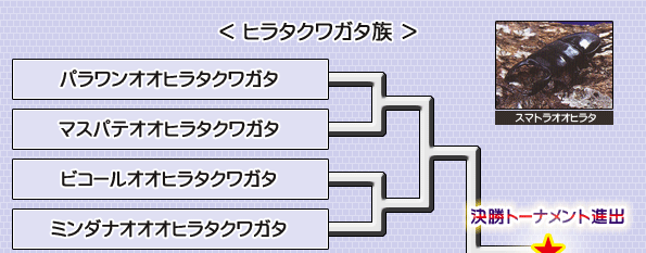 ҥ饯塞²