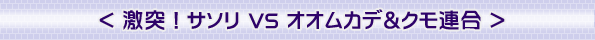͡ VS ५ǡϢ