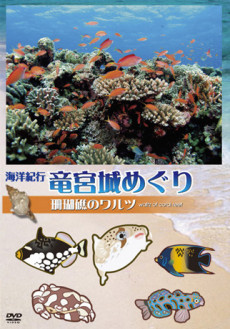 海洋紀行・竜宮城めぐり～VOL.1 珊瑚礁のワルツ
