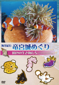 海洋紀行・竜宮城めぐり～VOL.2 原色の生き物たち