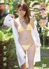 山本梓／あず散歩